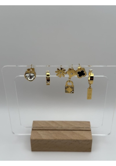 Arnes Jewelry Çelik Anahtarlı Zirkon Taşlı Kalpli 6 Lı Küpe Ar182nes Gold