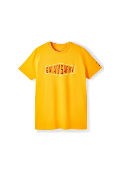 Gsstore Galatasaray Erkek T-shirt E252097 Sarı