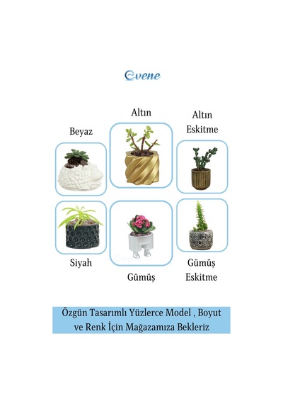 Mini Çiçek Saksı Küçük Sukulent Siyah Kaktüs Saksısı 3'lü Set Düz İnce Çizgili Model