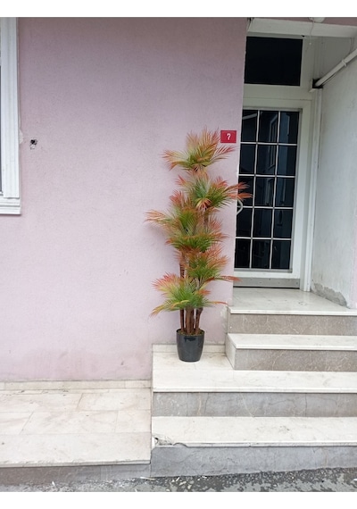 Kızıl Areka Palmiye 180 Cm 54 Yaprak 6 Gövde Ev Ofis İçin Sonbahar Yapraklı Yapay Ağaç