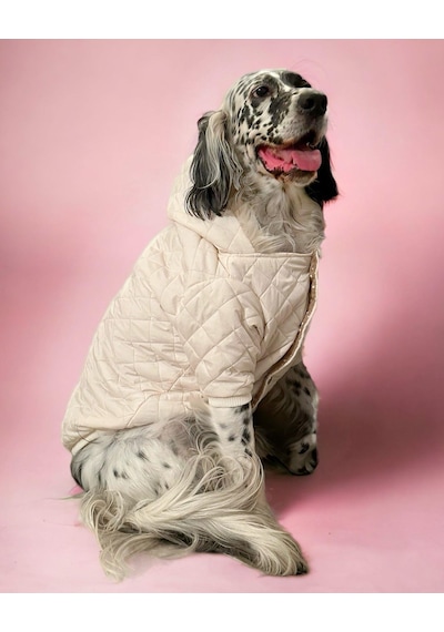 Kemique Cream Comfly Köpek Montu Orta Büyük Irklar İçin