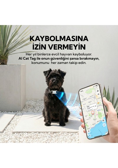Aı Cat Tag Akıllı Evcil Hayvan Takip Cihazı Beyaz Su/ Toz Geçirmez Apple Uyumlu iOS/android 0