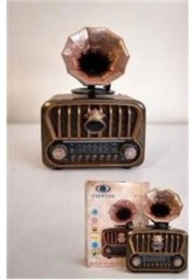 Everton Rt-605 Şarjlı, Nostaljik Radyo Bluetooth-usb-sd-fm Kdo