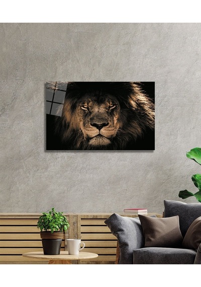 Aslan 14 Cam Tablo