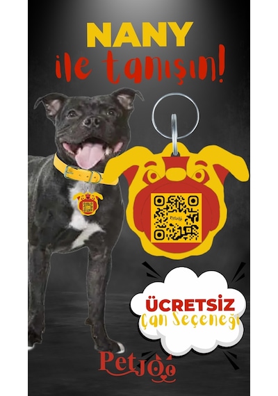Petjoo 17.Nany Kırmızı-Sarı Qr'lı Köpek Künyesi