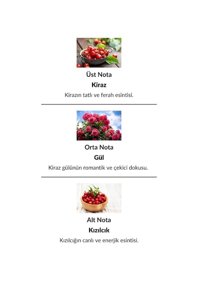Alescia St-72 Kadın Parfüm EDP 50 ML