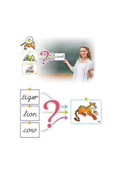 Afs İngilizce İlkokul Flash Card Seti