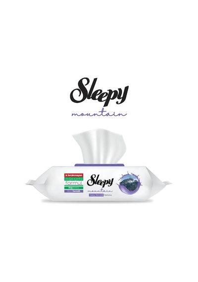 Sleepy Yüzey Temizleme Havlusu Dağ Esintisi - Mountain 100'lü Tekli