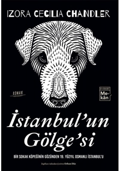 İstanbul Un Gölge Si