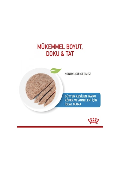 Royal Canin Starter Mousse Mother & Baby Dog Konserve Yavru Köpek Maması 195 G