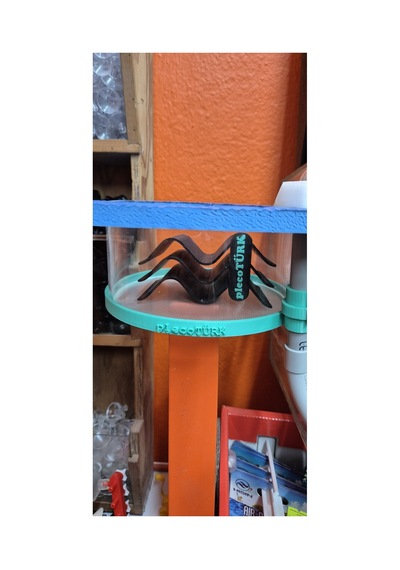 Pleco Fry Air Ring Su Asansörlü Pleco Yavru Büyütme Aparatı