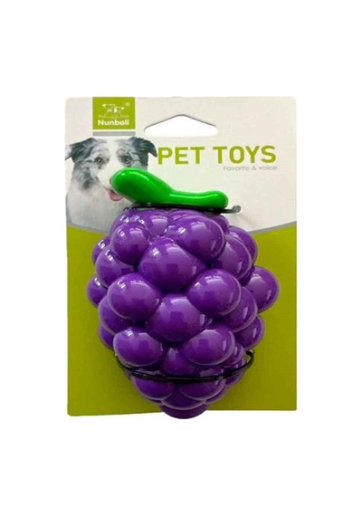 Nunbel Köpek Oyuncağı Plastik Üzüm Aromalı