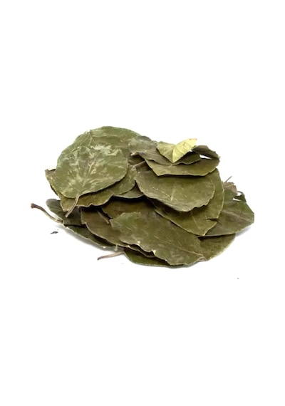 Organik Bitkim Avokado Yaprağı 500 G