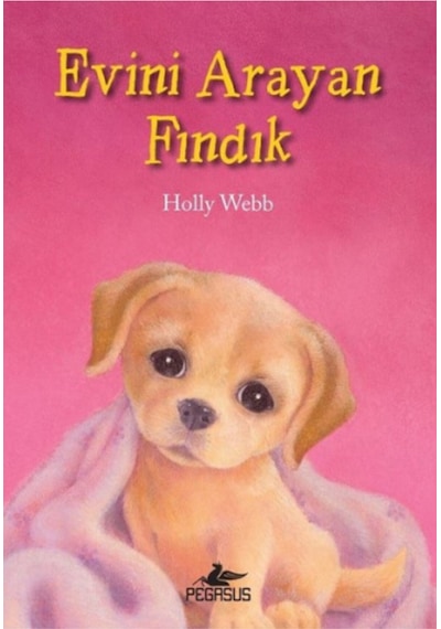 Evini Arayan Fındık - Holly Webb - Pegasus