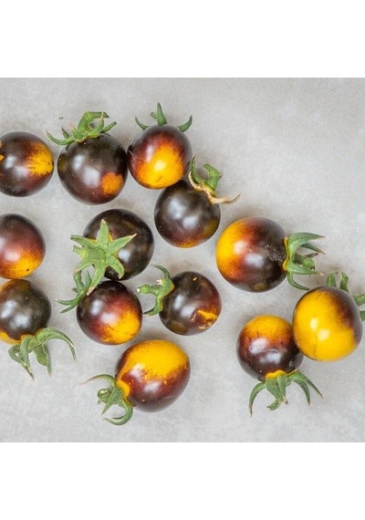 Bosque Bumblebee Domates Tohumu 15 Tohum 1 Paket