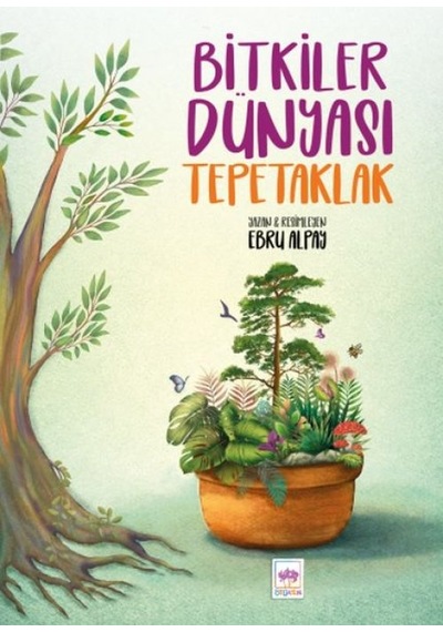 Bitkiler Dünyası Tepetaklak - Aıaı-874511