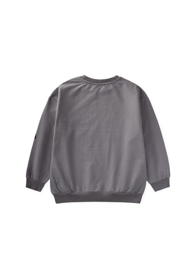 Cigit Baskılı Erkek Çocuk Kışlık Sweatshirt 8-12 Yaş Gri