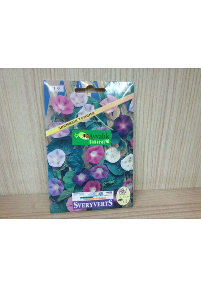 Sarmaşık Çiçeği Tohumu Paket