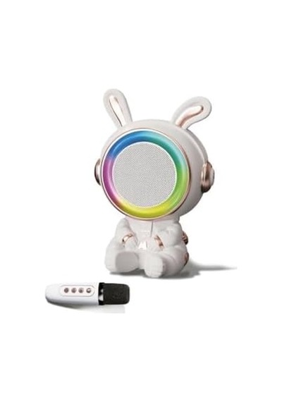 20w 2400 Mah Karaoke Mikrofonlu Ledli Bluetooth Hoparlör Bts-252