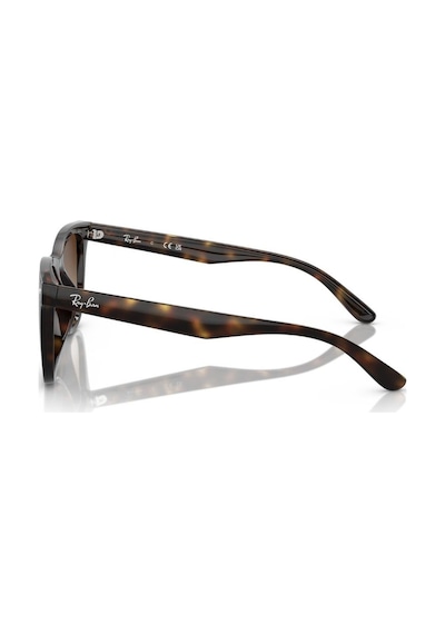Ray-ban 0rb4420 710/13 65 Unisex Güneş Gözlüğü