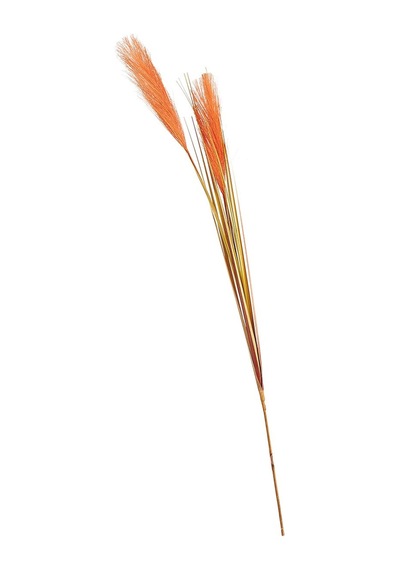 Pasabahce Grass Turuncu / Bej 92 Cm - 1 Adet