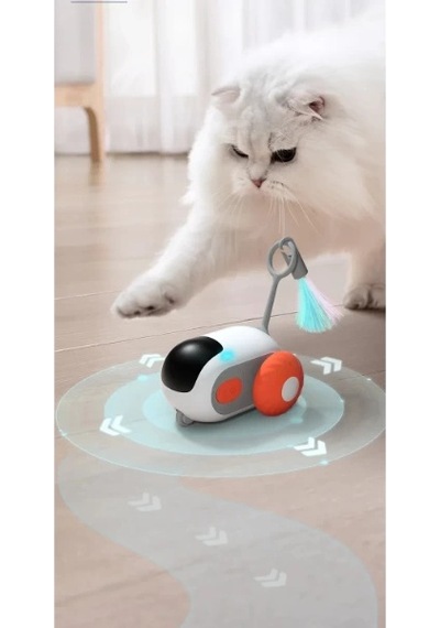 Bay Uzaktan Kumandalı Robot Kedi Oyuncağı Najmaddin