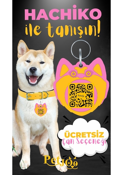 Petjoo 19.Hachiko Sarı-Pembe Qr'lı Köpek Künyesi