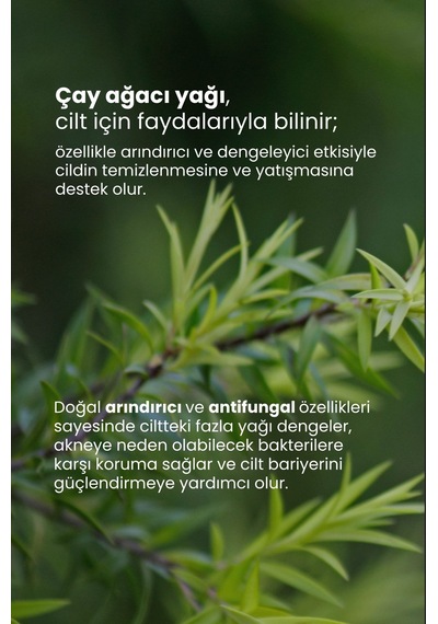 Tto Lens Solüsyonu 60 Ml - Çok Amaçlı Lens Bakım Solüsyonu