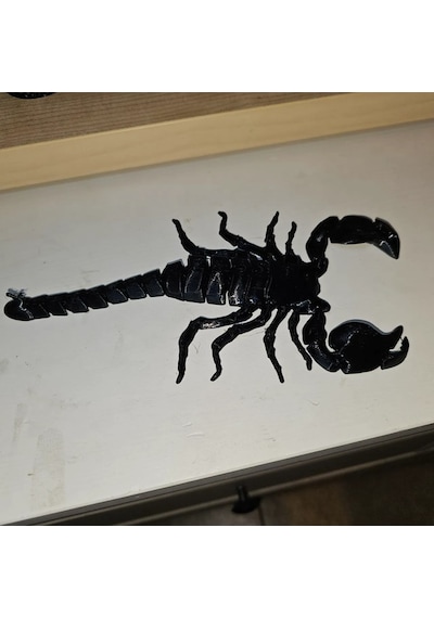 12cm Ufak Hareketli Akrep Pla Doğal Malzeme Md3 Siyah Renk Balık