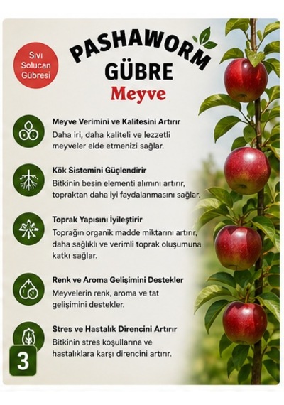 Pashaworm Meyve Konsantre Sıvı Gübre 10 L Meyve Ağaçları İçin