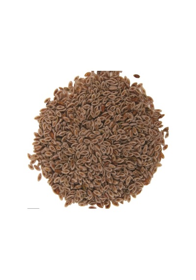 As Baharat Karnıyarık Tohumu Tane 1. Kalite 1 Kg