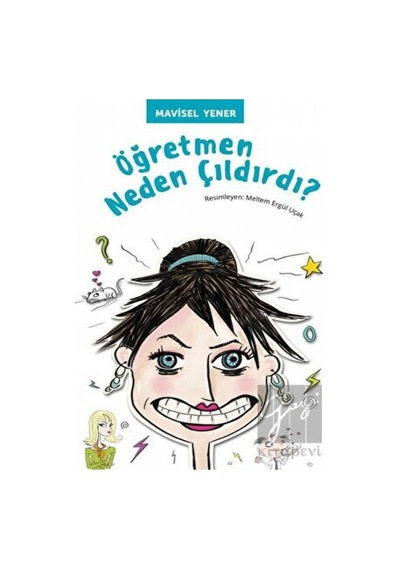 Öğretmen Neden Çıldırdı? Tudem Yayınları  -  Tudem Yayınları