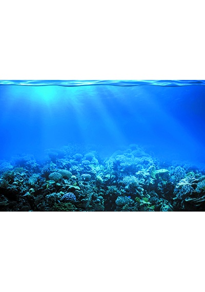 Kanki Pet 70 cm KP7045022 Akvaryum Arka Fon Yapıştırma  70x45 cm