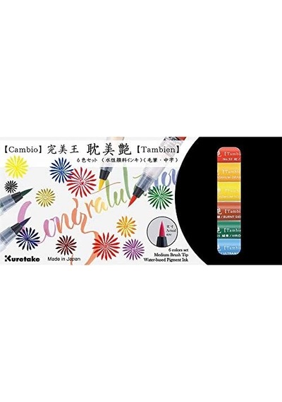 Zıg Cambıo Tambıen Pen 6 Lı Set X050t/6va