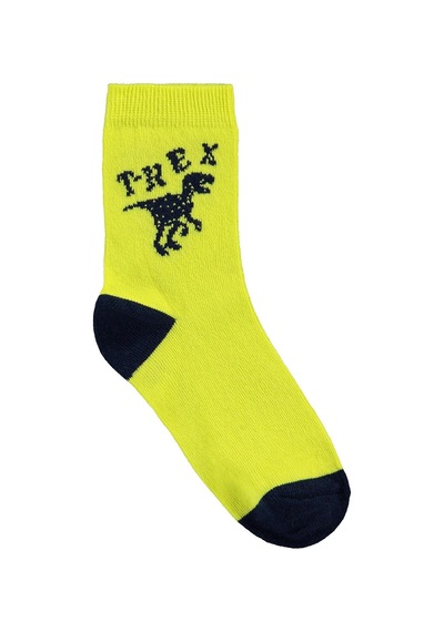 Civil Boys T-rex 3'lü 2-12 Yaş Erkek Soket Çorap - Standart