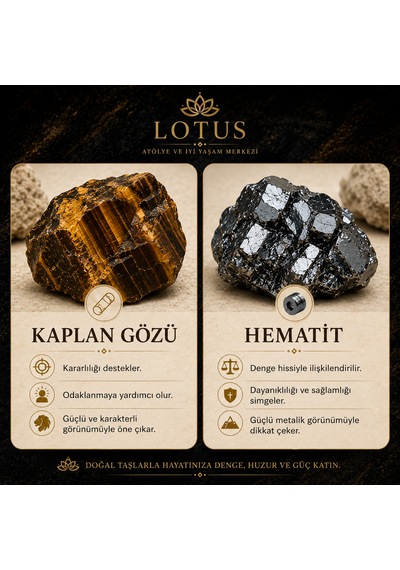 Demir Kaplan Bilekliği Kaplan Gözü, Boru Hematit & Disk Hematit