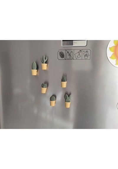 Ev Dekorasyon Buz Dolabı Magnet Succulet 3 Adet