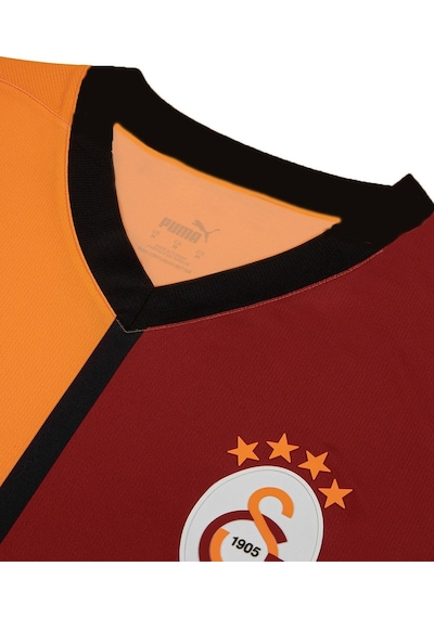 Galatasaray Lisanslı 24/25 İç Saha Taraftar Forma Aslan Kutulu 001
