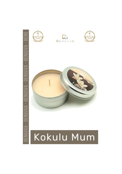 Mum Dekoratif Hediyelik Şık Modern Tasarım Metal Kutu Kokulu Mum Oda Kokusu 120g Teneke Kutu Çok Renkli