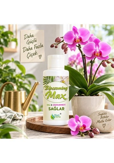 Blossoming Max Bitki Besini Dal Çiçeklenme Gelişim Desteği 200 Ml