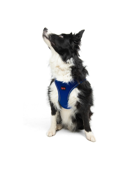 Air-Mesh Küçük ve Orta Irk Kedi Köpek Göğüs Tasması - Yumuşak, Nefes Alabilir, Dayanıklı LACİVERT 2XS