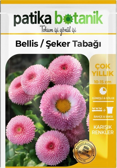 20 Adet Bellis - Şeker Tabağı Tohumu