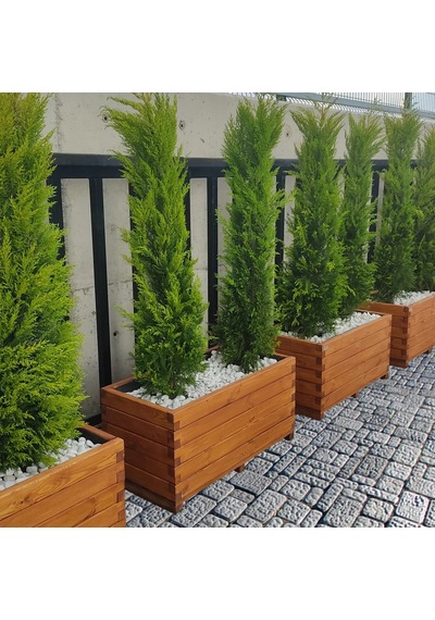 Ahşap Çiçeklik 100x30x40 Cm Emprenyeli Dış Mekan Saksısı