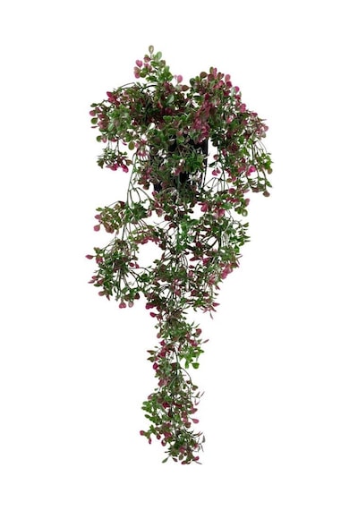 Yapay Çiçek Saksıda Sarkan Bordo Fare Kulağı Şimşir Yapay Sarmaşık Pastel 50cm