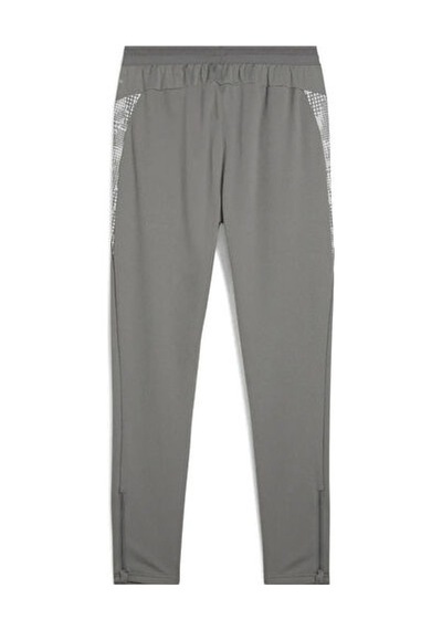 Puma Teamcup Training Pants Erkek Futbol Eşofman Altı 65917513 Gri Gri