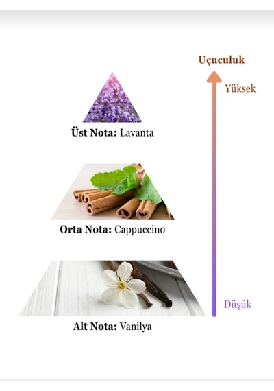 Naser Erkek Parfümü 100ml Baharat - Odunsu