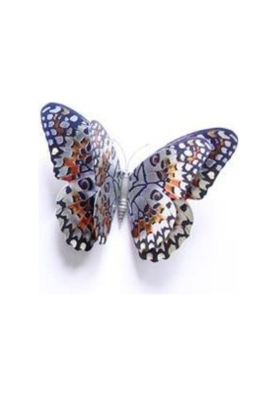 Çift Kanatlı Kelebek Özel Kelebekler 3D Pvc Duvar Ve Buzdolabı Sü