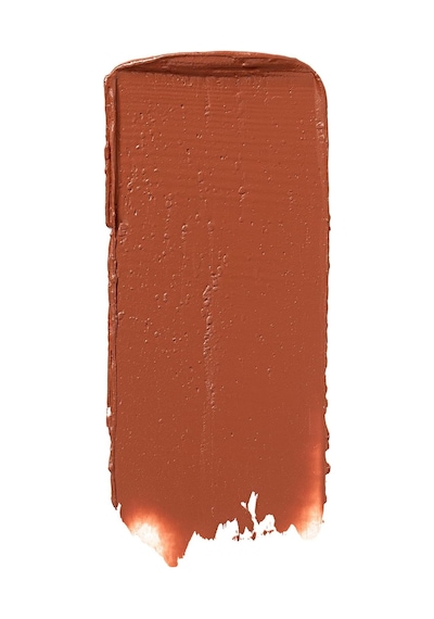 Flormar Yarı Parlak Stick Ruj- Creamy Stylo Lipstick -006 Chestnut- 8682536013666 Diğer