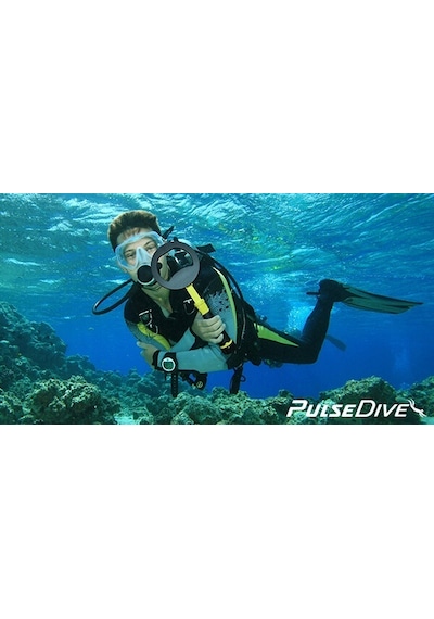 Pulsedive Su Altı Dedektörü