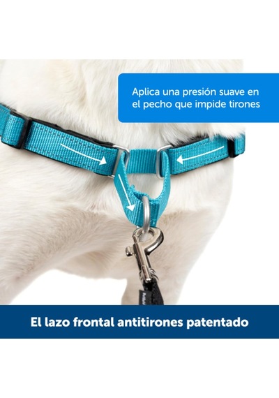 Deluxe Easy Yürüyüş Kemeri Mavi Köpek Göğüs Tasması Küçük 38-51 Cm